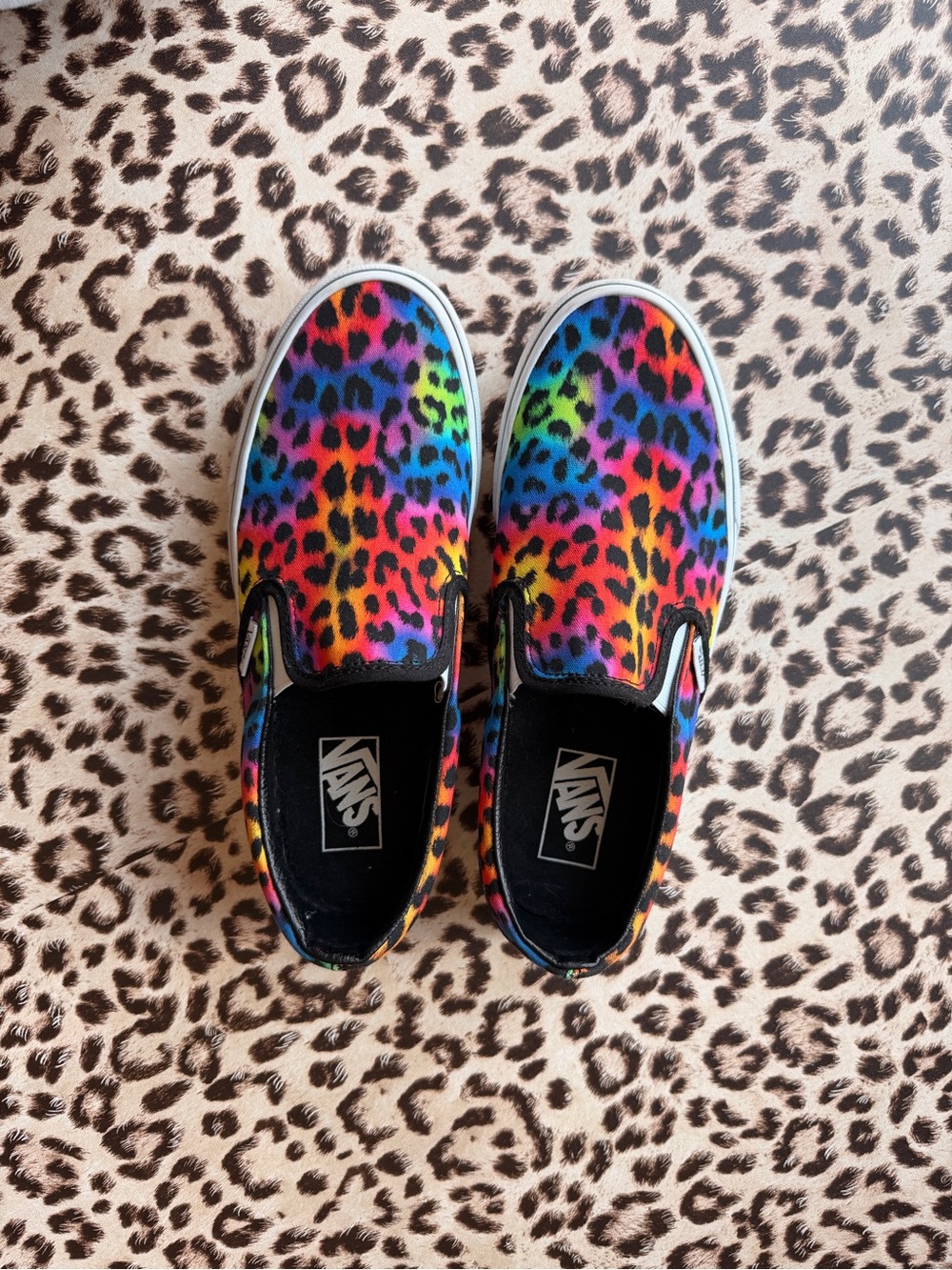 Vans Women’s Rainbow Leopard Slip-On Shoes